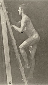 Plate 486 A: Lawn tennis. B: Ascending a step. C: Descending a step. D: Ascending a ladder — figure reference